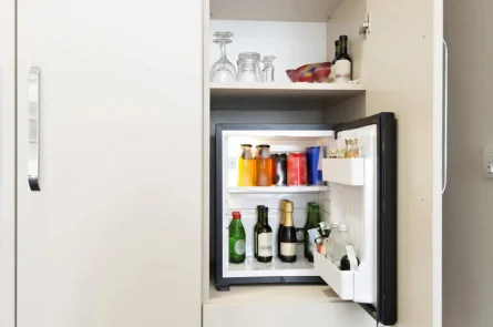 Mini Bar & Fridge